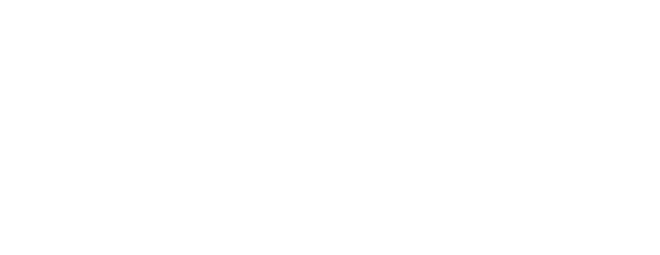 FlextPay