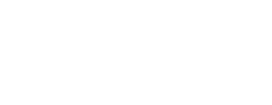 FlextPay
